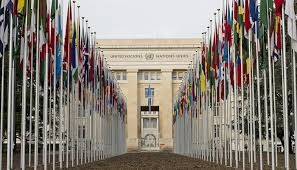 Types of International Work in Government