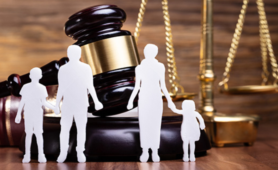 The Complete Guide to Family Law