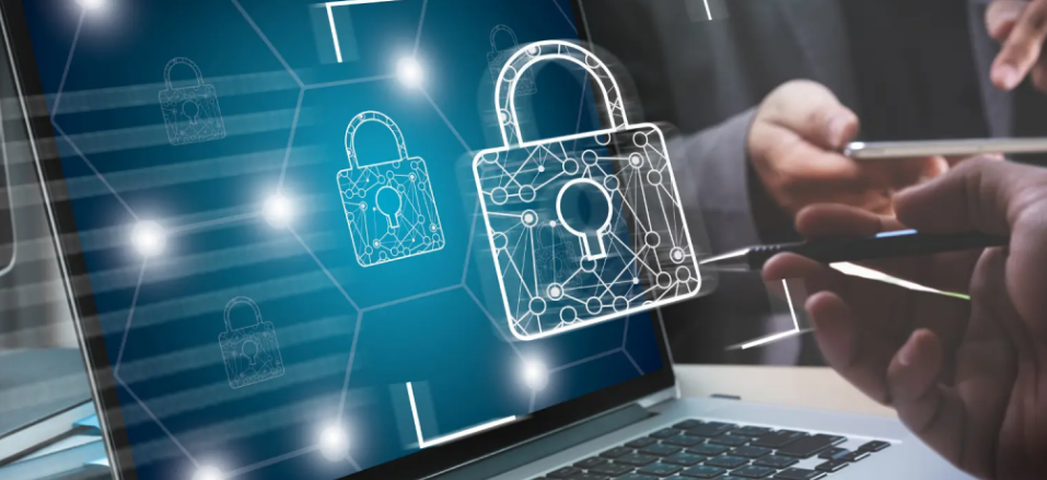 Protecting Data Security and Dealing with Privacy Risks